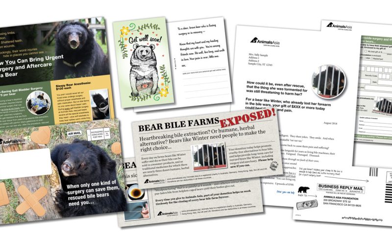 Animals Asia Surgery Appeal sample